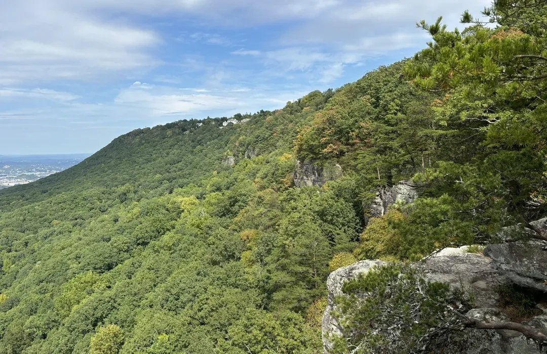 🏞️ 치카미야마 전망대 이미지 7